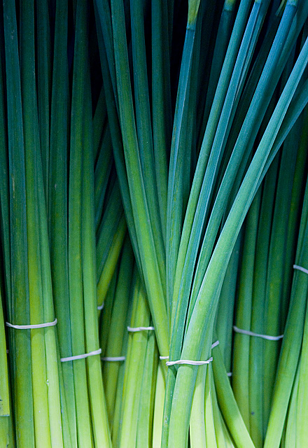 daffs.jpg