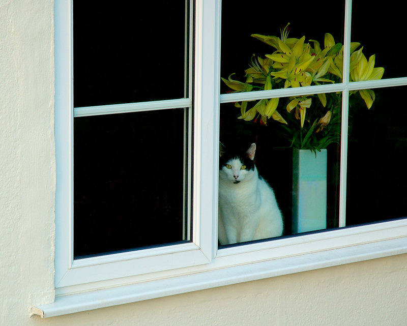 At home.jpg