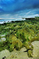 Green Rocks