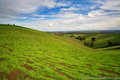 The Hills are alive
