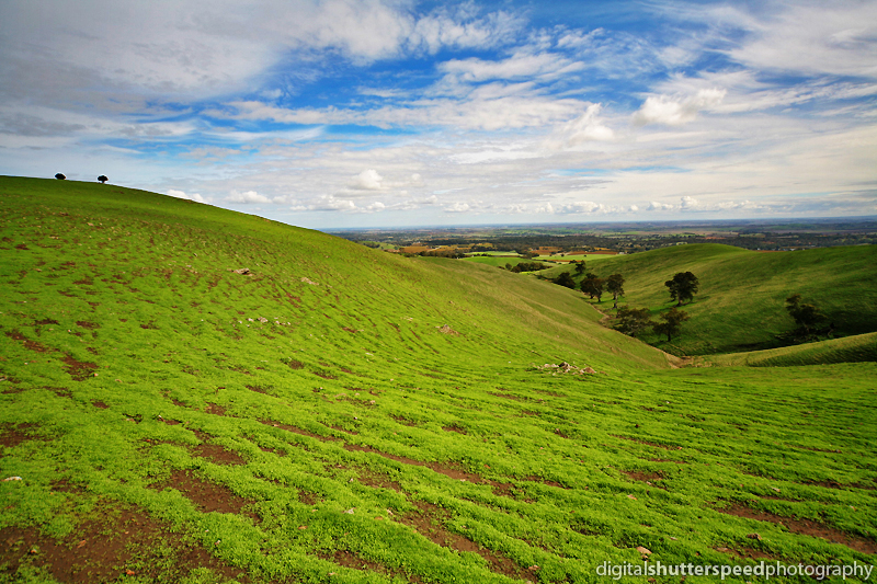 The Hills are alive