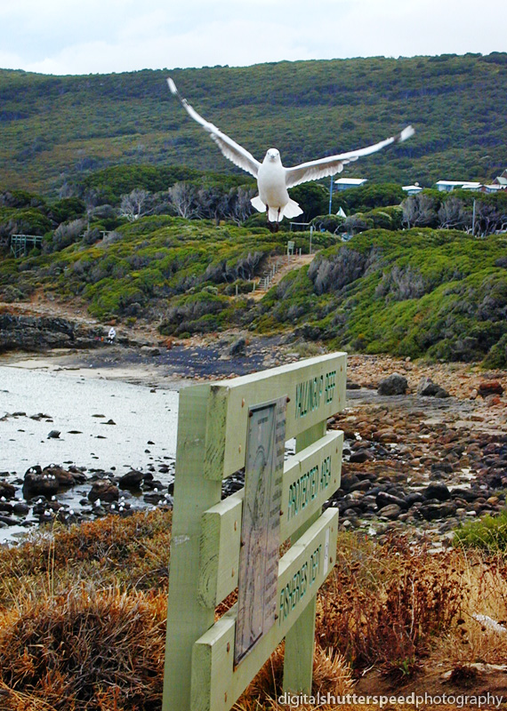 Yallingup - Western Australia