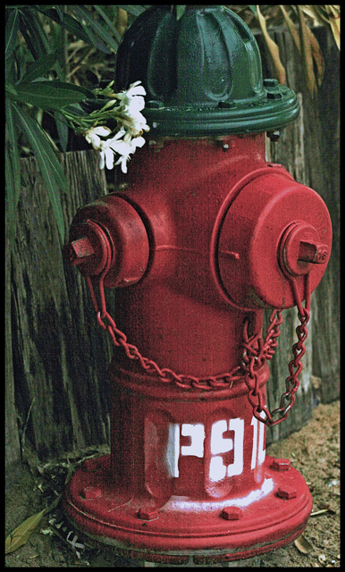 Security