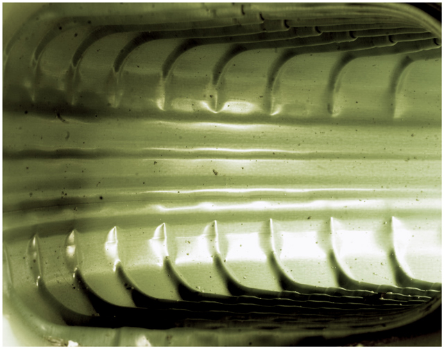 macro-2-june-19.jpg
