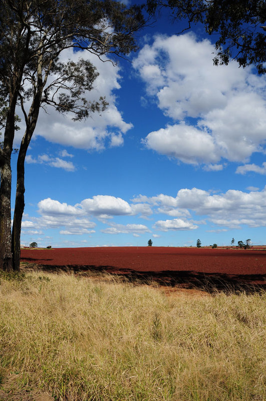 Kingaroy