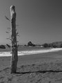 Along-the-PCH-2.jpg
