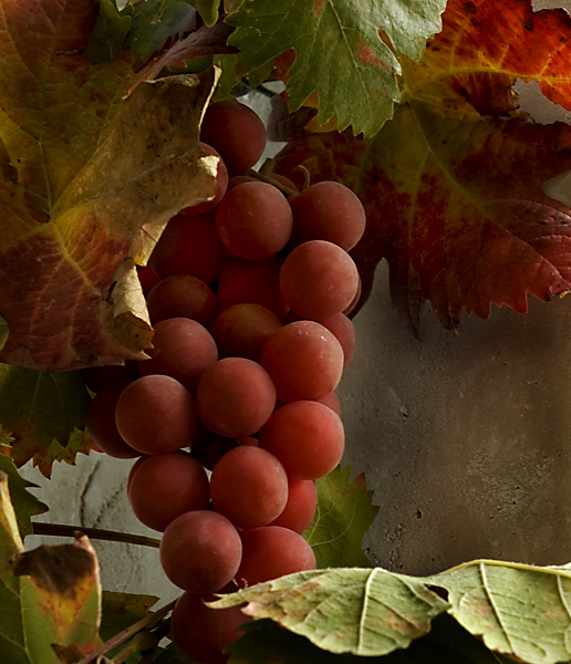 Autumn crop
