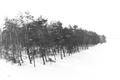 poland-all-145-BW.jpg