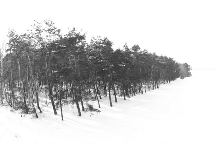 poland-all-145-BW.jpg