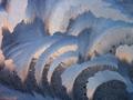 Ice Color Curls