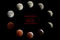 Lunar Eclipse in the Round