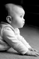 Week 33