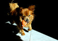 DSC_0072e.jpg