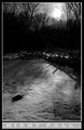Night Fall