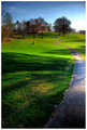 Fairway