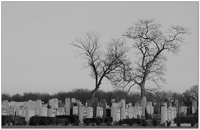 Life among the dead.