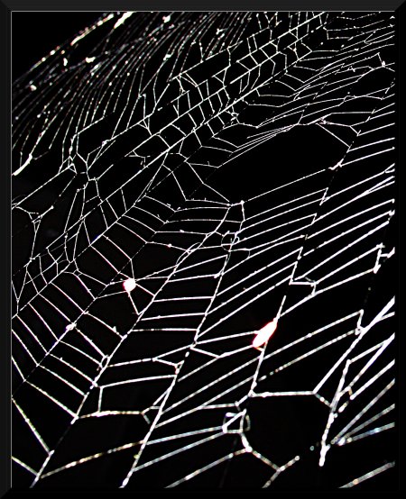 web.JPG