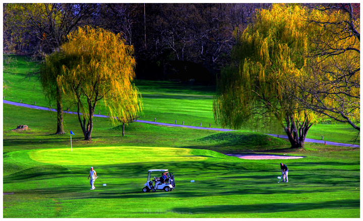 The Green