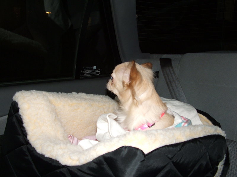 Car seat 2