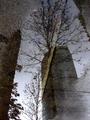 skyscraperreflection.jpg