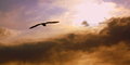 IMG_1056-1.JPG