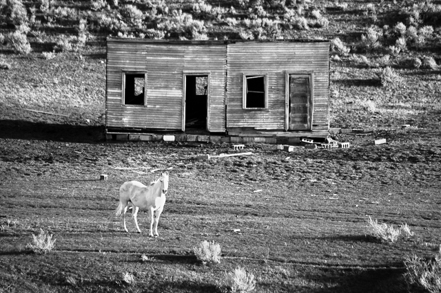 Run Down Montana
