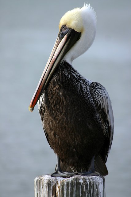 Look at me!!!