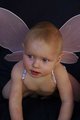 Little Butterfly