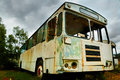 Dead Bus1