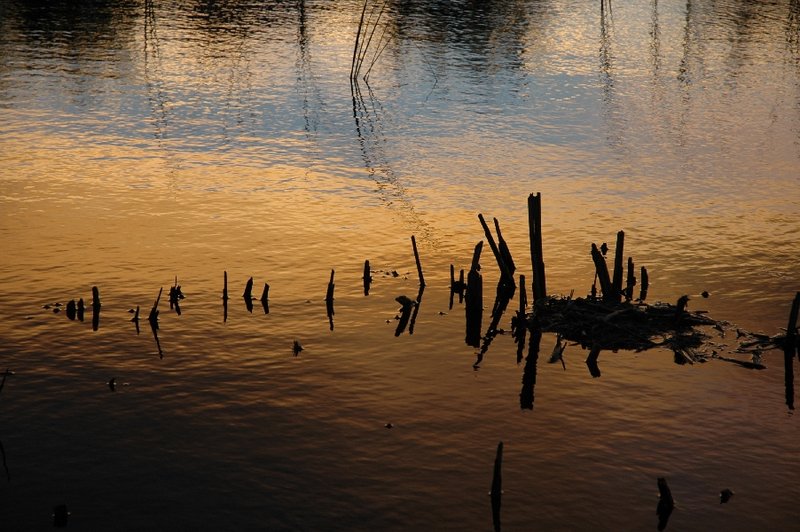 Golden Simplicity