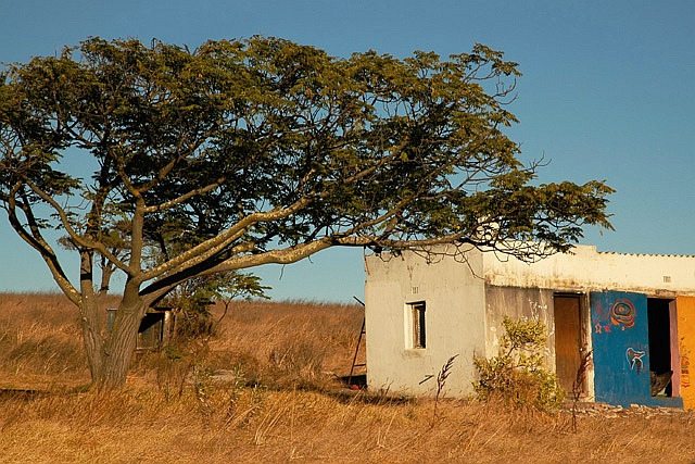 Abandoned