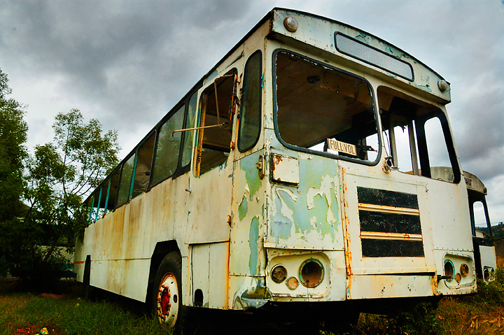 Dead Bus1