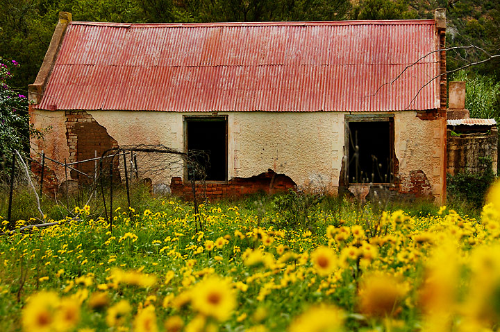 abandoned house 1