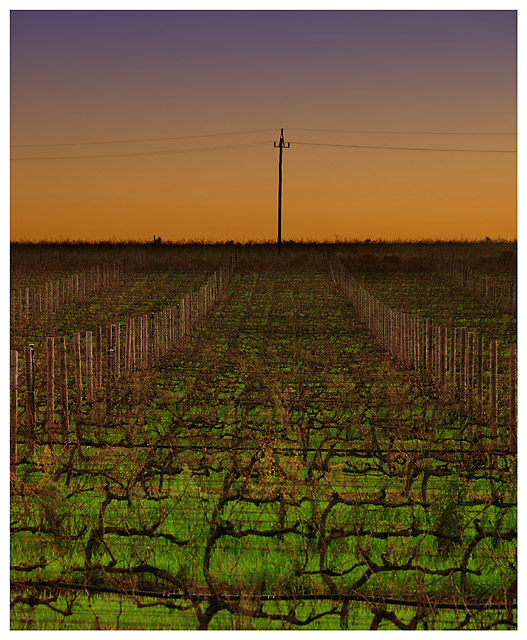 Leading to the Lines