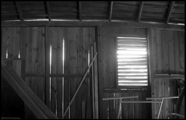 in the barn.jpg
