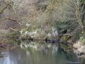 reflections