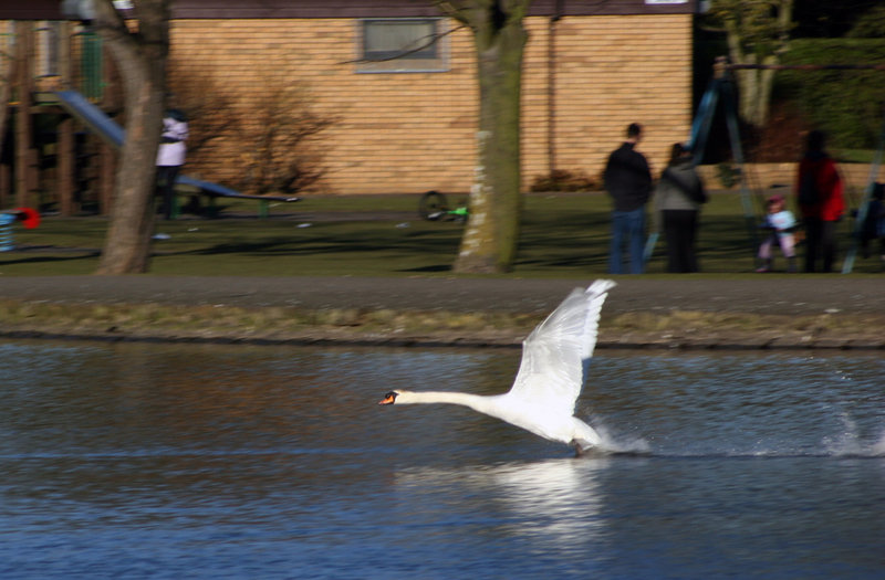 Cleared for takeoff