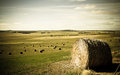 Hay Bales II