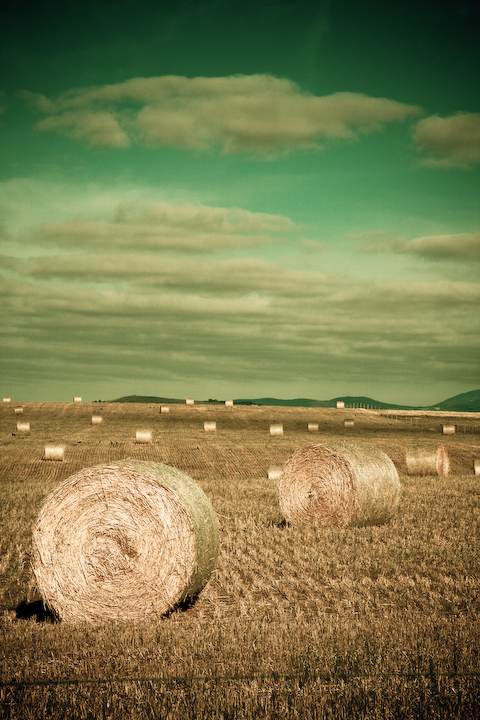 Hay Bales