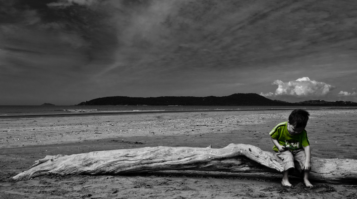 Resting on Drift Wood