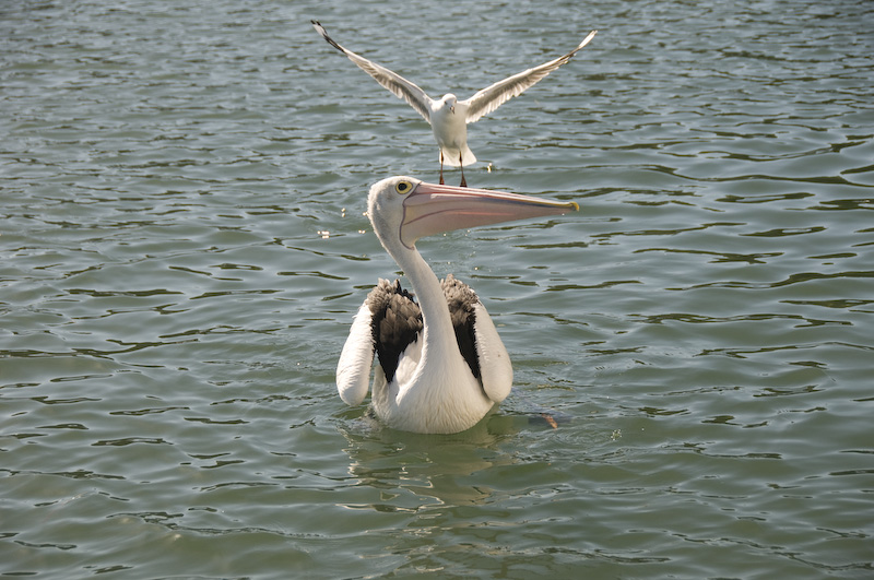 _DSC5771-Edit.jpg