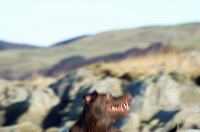 Jump!