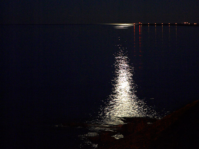 Moonlit