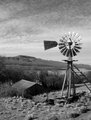 Windmill