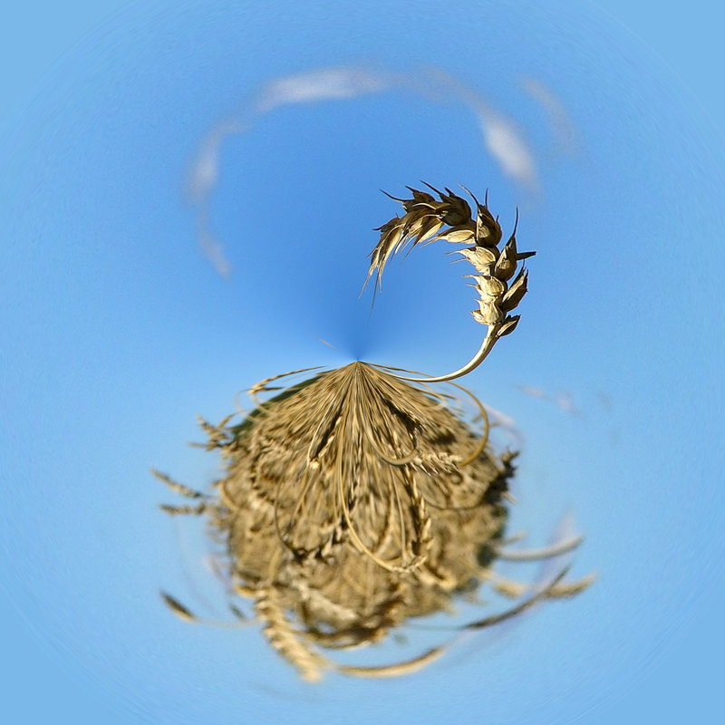 Manipulation 1