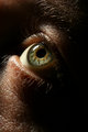 Window To The Soul