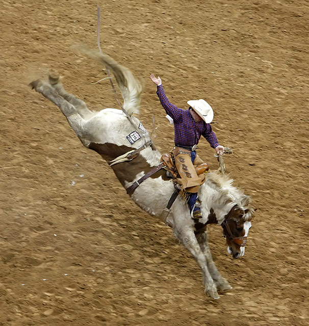 Saddle Bronc