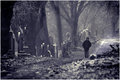 Cemetery.jpg