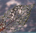 DSCF0071.jpg