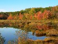 Algonquin-02-05.jpg